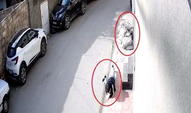 Mardin'de cep telefonu kapkaççılığı güvenlik kamerasında