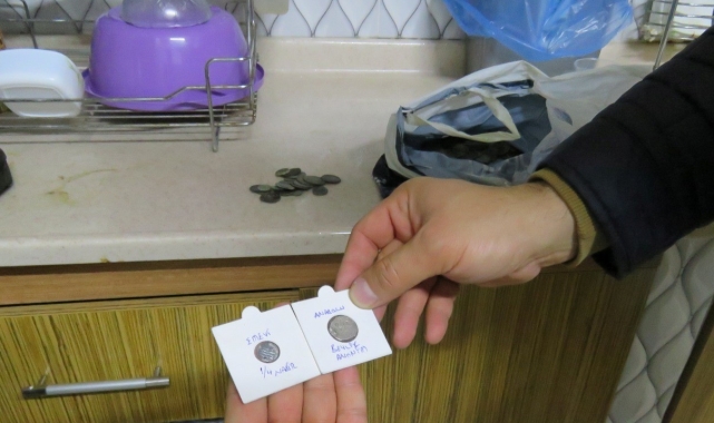 Mersin'de bir evde çok miktarda tarihi eser ele geçirildi