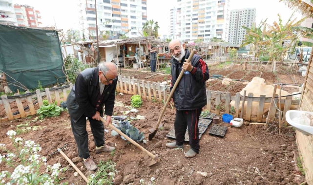Mezitli'nin 'Hobi Bahçeleri'ne büyük ilgi