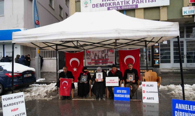 Muşlu annelerin evlat nöbeti devam ediyor