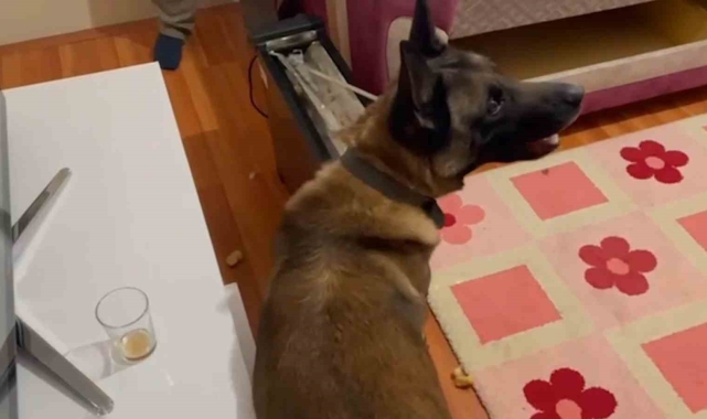 Narkotik köpeği elektrik sobadaki uyuşturucu böyle buldu