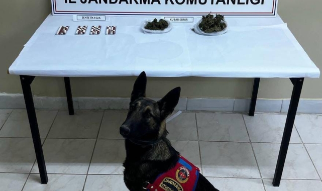 Narkotik köpeği ile arama yapılan araçta uyuşturucu ele geçirildi