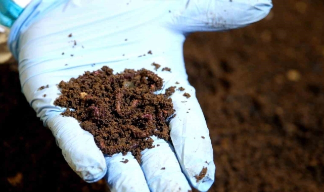 Odunpazarı Belediyesi Solucan Gübresi Üretim Tesisi ile tasarruf etmeye devam ediyor