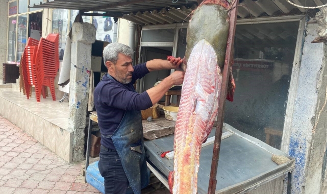 Osmaniyeli balıkçıya 37 bin TL'lik yayın balığı piyangosu