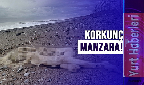 SAHİLDE BAŞSIZ CESET BULUNDU!