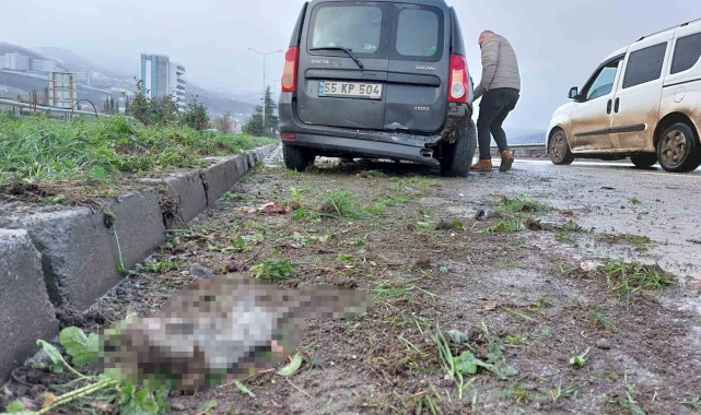 Samsun'da trafik kazası