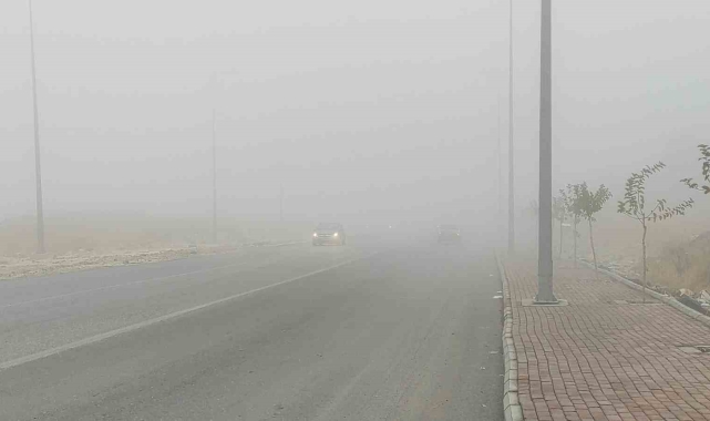 Şanlıurfa'da yoğun sis etkili oluyor