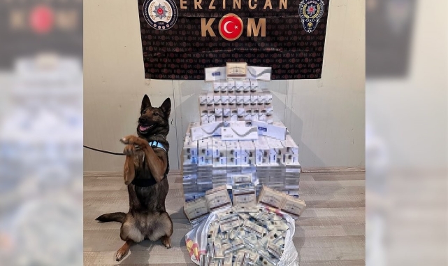 Sigara kaçakçısı hassas burun "Hera"yı geçemedi