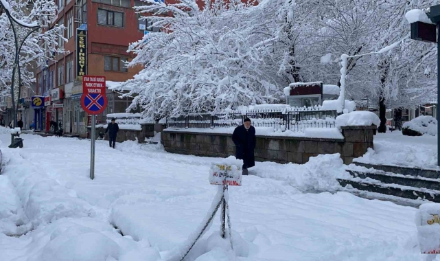 Tatvan'da kar yağışı