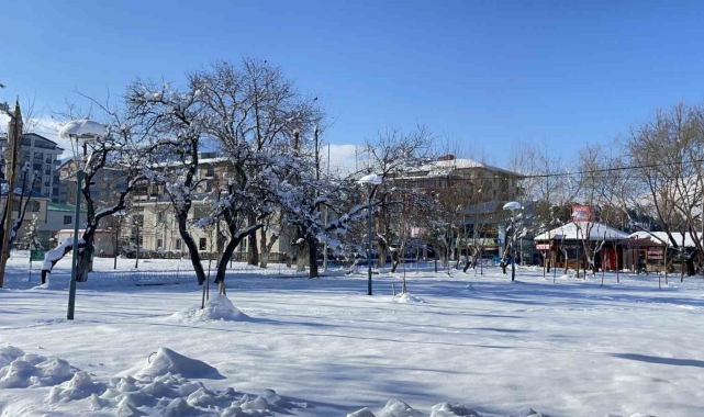 Tatvan'da karla gelen güzellik
