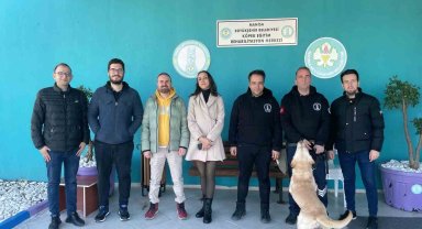 Trüf mantarını eğitimli köpekler bulacak