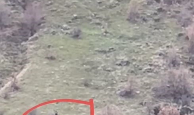 Tunceli'de kaçak avlanan şahıs suçüstü yakalandı