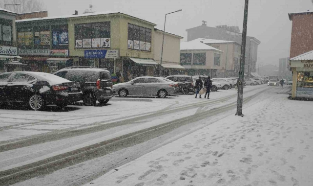 Varto'da kar yağışı