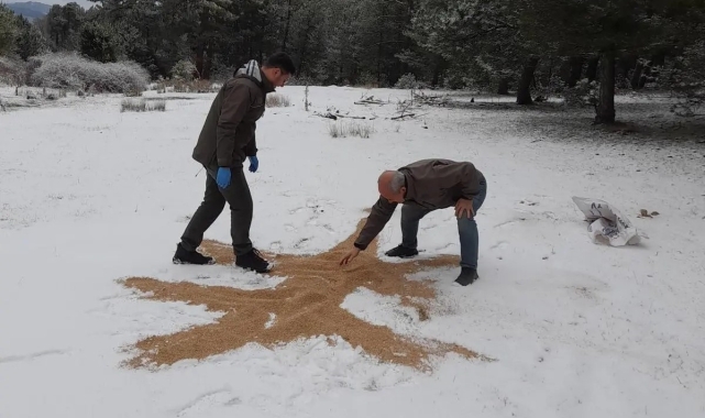 Yaban hayatı unutulmadı