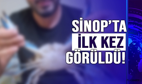 YOLU SİNOP’A DÜŞMÜŞ!