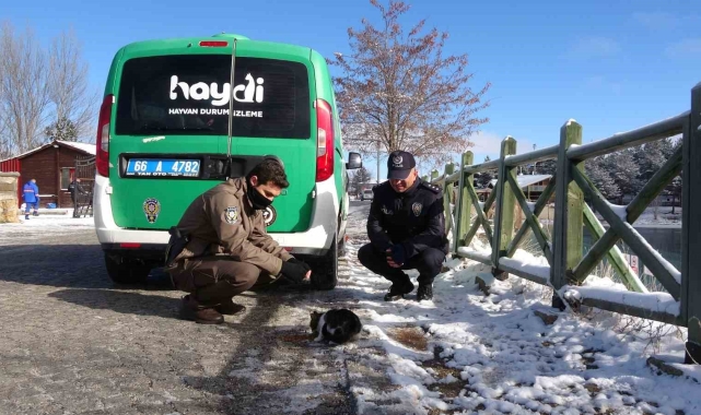 Yozgat'ta polis ekipleri sokak hayvanlarını unutmadı