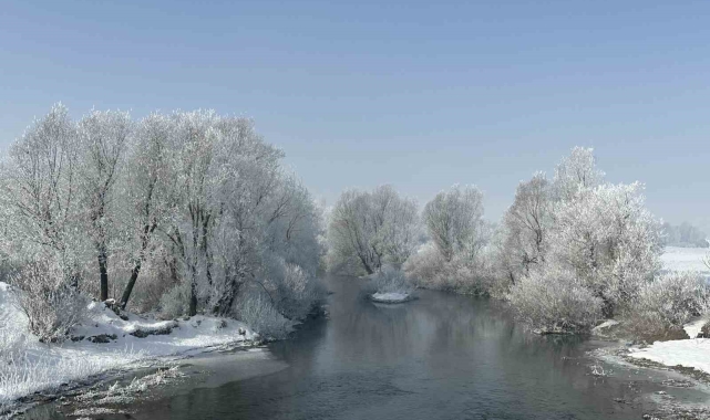 Yüksekova'da ağaçlar kırağı tuttu