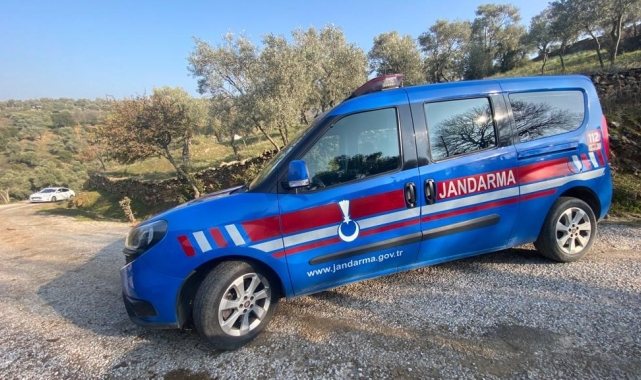 Zeytinyağı hırsızı jandarmadan kaçamadı