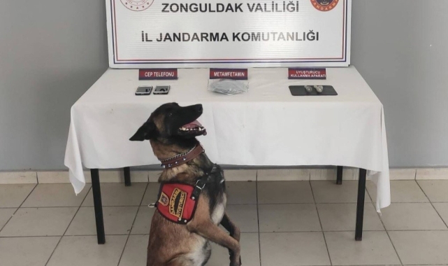 Zonguldak'ta jandarmadan uyuşturucu operasyonu