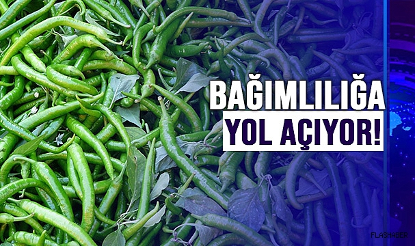 ACI SEVERLER DİKKAT!