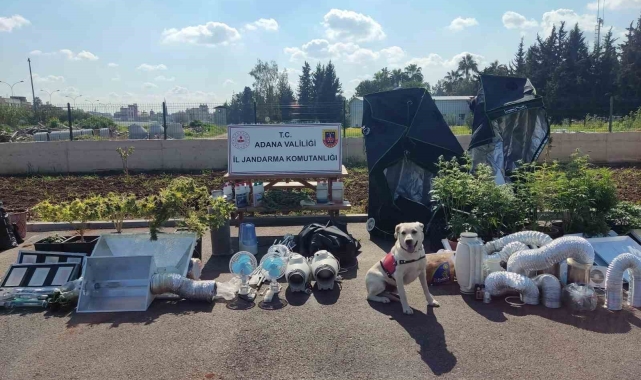 Adana'da 'iklimlendirme sistemli' uyuşturucu üretimine 5 gözaltı
