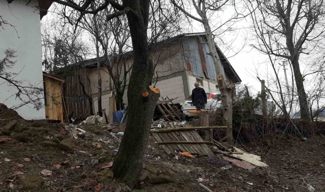 Ağaç budarken kafasına dal düştü, yaralandı