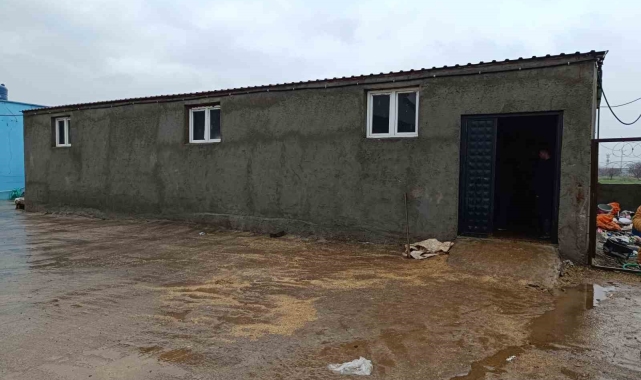 Ahıra düşen yıldırım 3 büyükbaş hayvanı telef etti