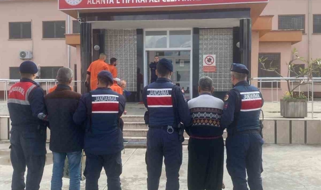 Alanya'da 15 kasa avokado çalan 2 hırsız yakalandı