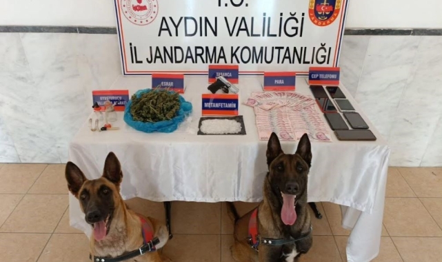 Aydın'da 48 zehir taciri yakalandı