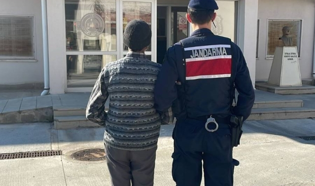 Aydın'da eşzamanlı "hırsızlık" operasyonu: 20 yakalama