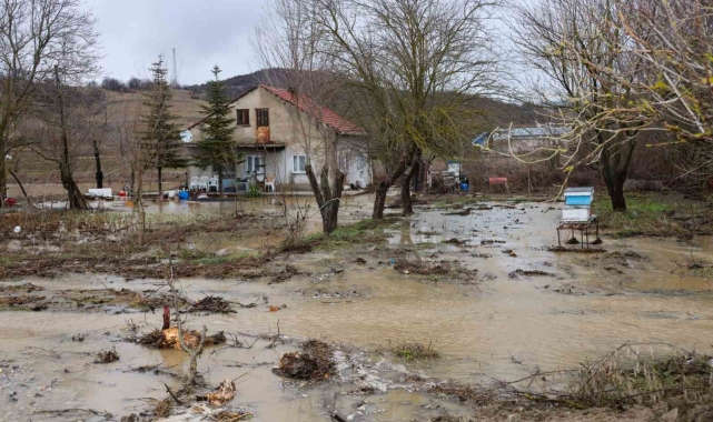 Bilecik'te Karasu Deresi taştı, birçok tarım arazisi ve iki ev su altında kaldı