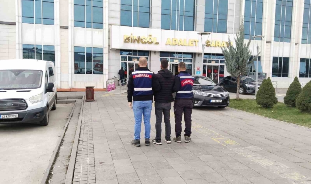 Bingöl'de 10 yıl kesinleşmiş hapis cezası bulunan zanlı yakalandı