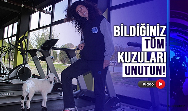 BU KUZU BAŞKA KUZU!