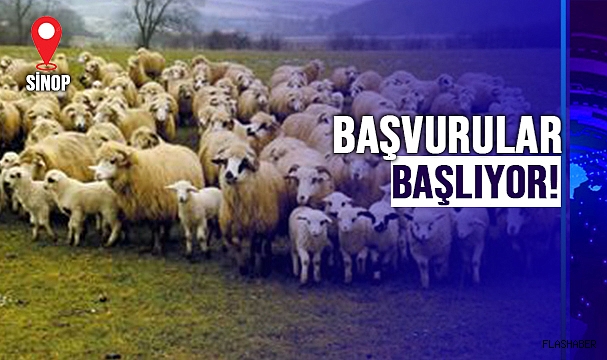 BU PROJEYİ KAÇIRMAYIN!