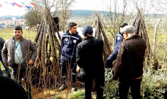 Büyükşehir üreticilere meyve fidanı dağıtımına başladı