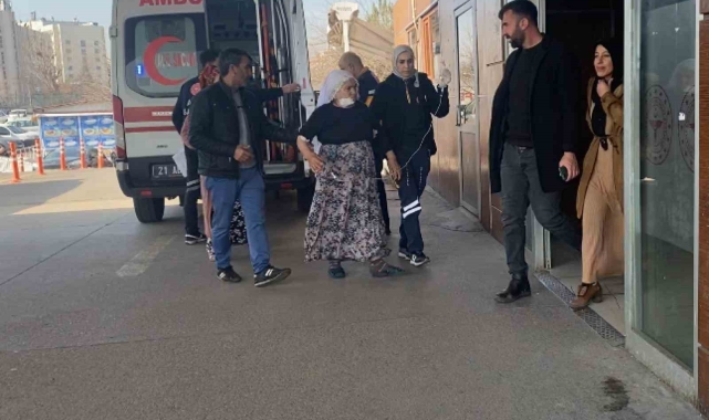 Diyarbakır'da 72 yaşındaki kadın besledikleri köpeğin saldırısına uğradı