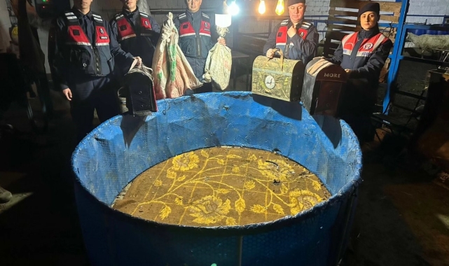 Efeler'de horoz dövüştüren 9 kişi yakalandı