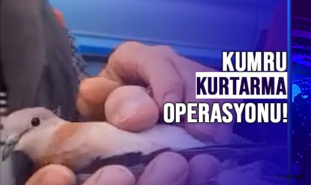 EKİPLER SEFERBER OLDU!
