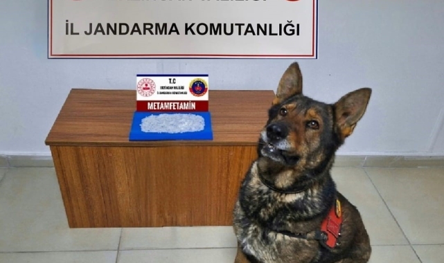 Erzincan'da jandarmadan uyuşturucu operasyonu: 1 tutuklama