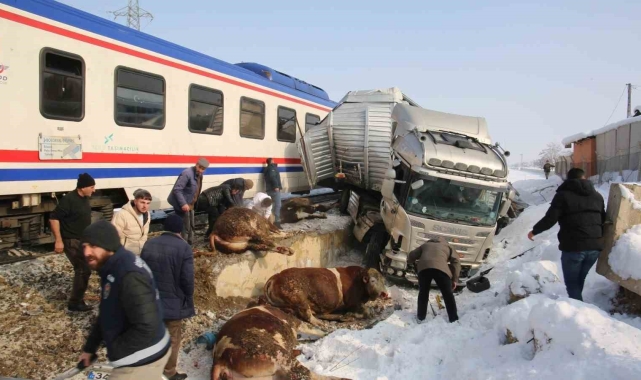 Hayvan yüklü tıra tren çarptı: 2 kişi hayatını kaybetti