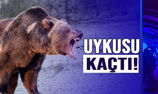 HERKES UYUDU, O UYUMADI!