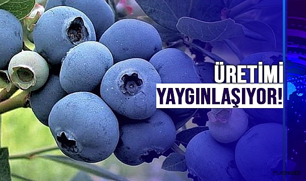 İLK KEZ TÜRKELİ'DE BAŞLATILMIŞTI!
