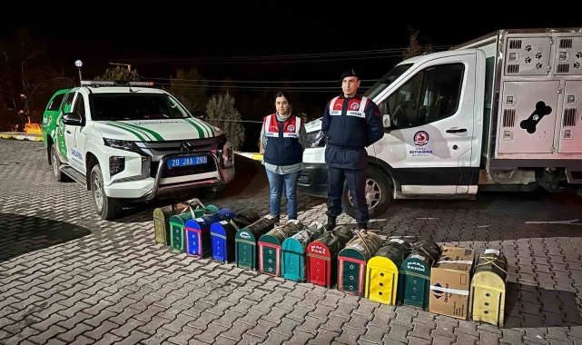JASAT'tan komando destekli horoz dövüşü operasyonu