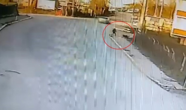 Kandıra'da okula giden çocuğa 2 köpek saldırdı