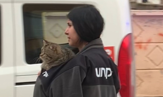 Karaman'da evde çıkan yangında kedilerini kurtarıp dışarıya çıktılar