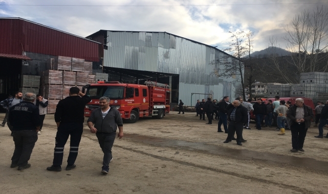 Keşap'ta inşaat malzemeleri deposu yandı