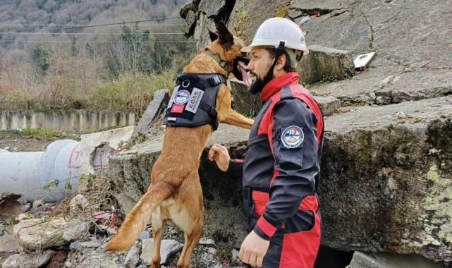 Körfez afete hazırlanıyor