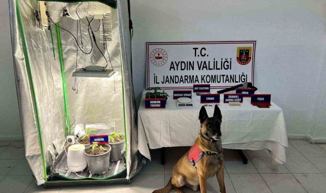 Kuşadası'nda uyuşturucu operasyonu