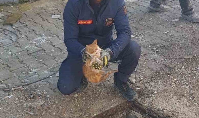 Mazgalın içinde mahsur kalan kedi itfaiye tarafından kurtarıldı