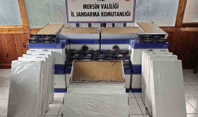 Mersin'de 500 bin adet makaron ele geçirildi